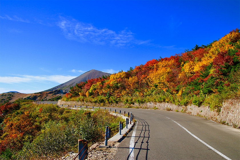 秋ドライブで巡る人気スポット紹介！紅葉・絶景を楽しみ尽くそう