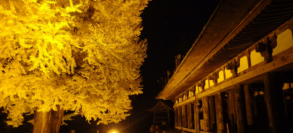 福島紅葉名所「新宮熊野神社」